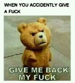 🔥 Ted WHEN YOU ACCIDENTLY GIVE A FUCK
GIVE ME BACK MY FUCK bear, angry, swear, movie, comedy telegram sticker