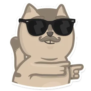 😎 kat, zonnebril, snor, cool, wijzen, sticker telegram sticker