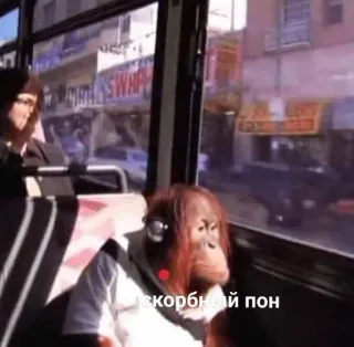 😓 скорбный пон orangutan, monkey, bus, sad, headphones telegram sticker