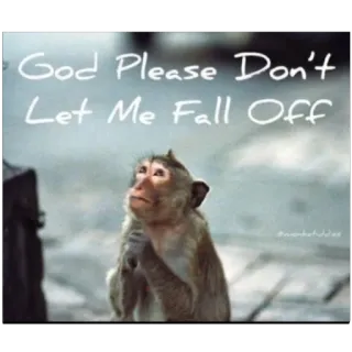 🫥 God Please Don't Let Me Fall Off małpa, modlitwa, zwierzę, nadzieja, słodki telegram sticker