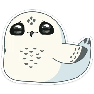 ☹️ coruja, animal, fofo, adesivo, pássaro, kawaii telegram sticker