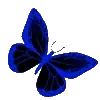 🦋