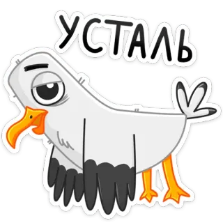 😪 УСТАЛЬ gaivota, cansado, exaustão, desenho animado, pássaro, animal, lento telegram sticker