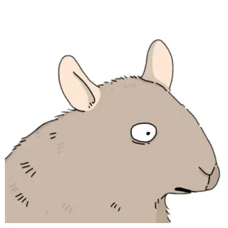 🐀 animal, roedor, ilustração, desenho animado, meme, engraçado telegram sticker