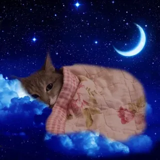 😴 kot, śpiący, noc, księżyc, gwiazdy, zwierzę, chmura telegram sticker