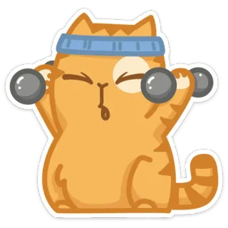 💪 chat, exercice, entraînement, haltère, fitness, animal telegram sticker