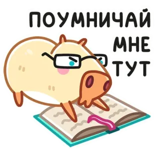 🤓 ПОУМНИЧАЙ МНЕ ТУТ капибара, чтение, книга, очки, милый, животное, наклейка telegram sticker