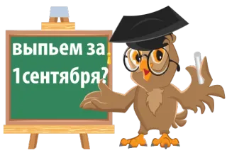 🍷 выпьем за 1 сентября? coruja, formatura, escola, primeiro dia de aula, 1 de setembro whatsapp sticker