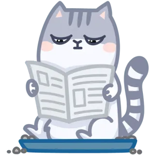 📰 gato, leitura, jornal, animal, desenho animado telegram sticker