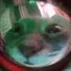 🫢
