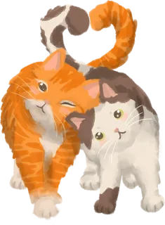 ❤️ gatto, gattino, animali, carino, animale domestico, animale domestico telegram sticker
