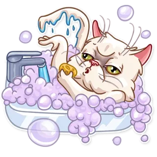 🛁 gato, bañera, burbujas, esponja, animal, mascota, baño, lindo telegram sticker