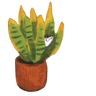 🌿 roślina, kaktus, sukulent, doniczka, kreskówka, okulary telegram sticker
