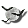🌓
