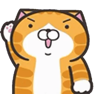 🐱
