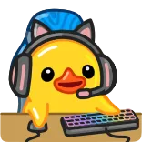💻