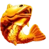πββοΈ