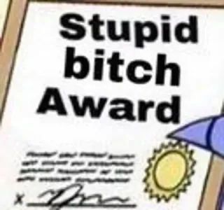 🤔 Stupid bitch Award nagroda, certyfikat, obraza, obraźliwe telegram sticker