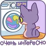 Чира @TgSticker telegram stickers