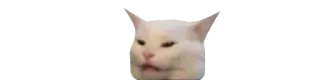 🙃 Katze, Meme, Lustig, Tier, Haustier whatsapp sticker