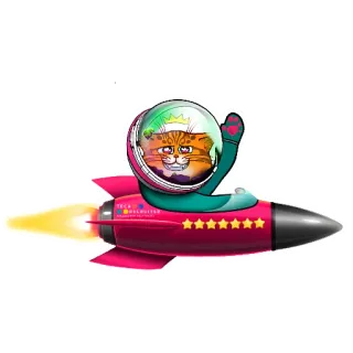 🚀 Tech Recruiter kucing, roket, luar angkasa, perekrut, teknologi, bintang, kartun, oranye, hewan whatsapp sticker