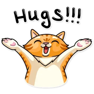 🤗 Hugs!!! gato, abraços, fofo, desenho animado, animal, saudação, positivo telegram sticker