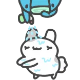 🧼 telegram sticker