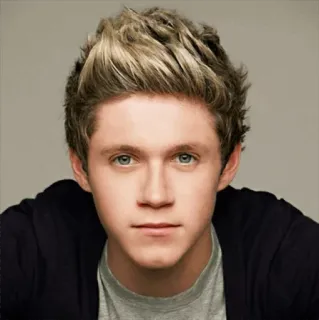 🥀 Niall Horan Niall Horan, One Direction, cantante, celebridad, estrella pop, retrato, masculino telegram sticker