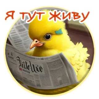 🤡 Я тут живу птица, газета, животное, милый, чтение telegram sticker