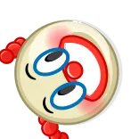 🤡