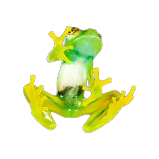 🐸 カエル, 動物, 両生類, 緑, 自然, 野生動物 telegram sticker