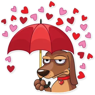 ☔ dog, umbrella, hearts, love, cartoon, animal whatsapp sticker