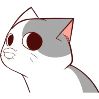 👄 mèo, động vật, meme, dễ thương, nhãn dán, vui nhộn telegram sticker