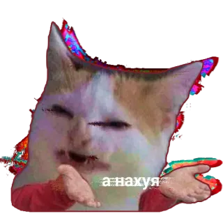 🤷‍♀️ а нахуя cat, offensive, meme, russian, slang, humor telegram sticker
