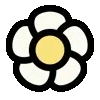 🌼