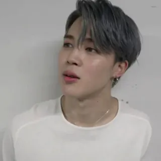 🧩 Jimin 韩流, 偶像, 歌手, Jimin, BTS, 人物 telegram sticker