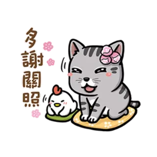 🙇 多謝關照 kat, kip, bedankt, kawaii, schattig, sticker, dieren telegram sticker