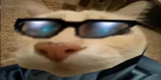 😎 Katze, Sonnenbrille, cool, Tier, Haustier telegram sticker