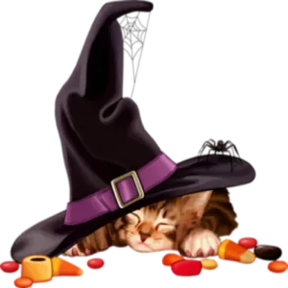 🧙‍♀ kucing, penyihir, halloween, topi, anak kucing, permen jagung, seram, musim gugur telegram sticker