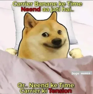 👾 Doge Doge memes Carrier Banane ke Time Neend aa jati hai.. Or.. Neend ke Time Carrier ki Tension doge, meme, sleep, career, stress, relatable, humor telegram sticker