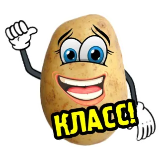 👍 КЛАСС! 土豆, 卡通, 搞笑, 食物, 蔬菜, 俄罗斯, 课程 telegram sticker