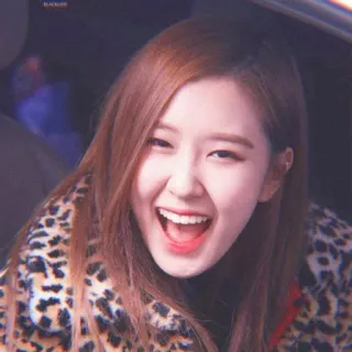 🌹 Rosé kpop, rosé, cantante, mujer, estampado leopardo telegram sticker