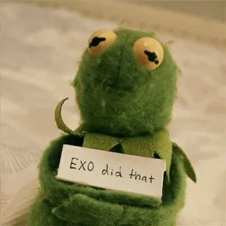 🐸 Kermit EXO did that Kermit o Sapo, Meme, EXO, Humor, Engraçado whatsapp sticker