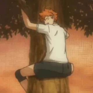 🧡 Hinata Shoyo Haikyuu Anime, Haikyuu, Hinata Shoyo, Personagem, Desenho animado, Árvore, Escalada telegram sticker