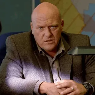🌓 Hank Schrader Breaking Bad DEA, police, serious, agent, detective telegram sticker