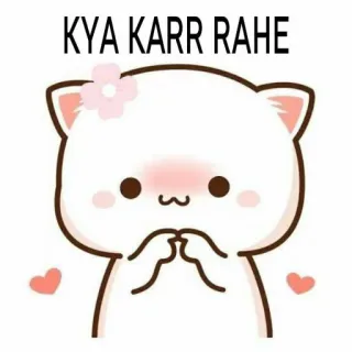 😋 KYA KARR RAHE 고양이, 귀여운, 꽃, 질문, 뭐해 telegram sticker