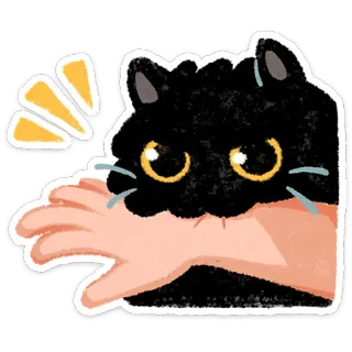 😠 mèo, cắn, tay, động vật, mèo đen, phim hoạt hình, nhãn dán whatsapp sticker