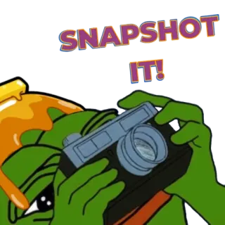 📸 Pepe the Frog SNAPSHOT IT! เปเป้, สแนปชอต, กล้อง, กบ, มีม, การ์ตูน telegram sticker