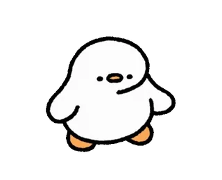 🐣 bebek, lucu, kartun, binatang, burung, putih telegram sticker
