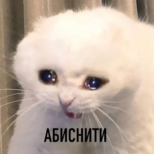 Abisnite